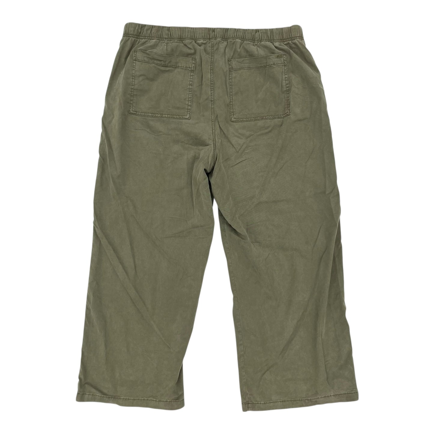 Pants Wide Leg By American Eagle In Green, Size:Xl