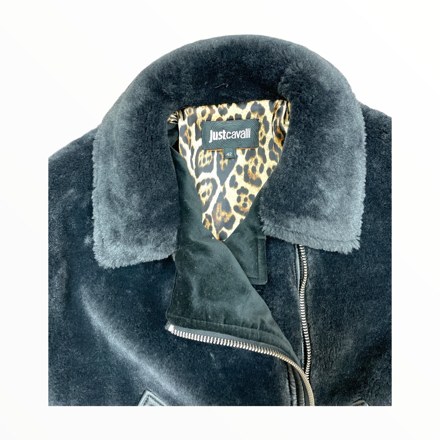 Coat Designer By JUST CAVALLI Size: M