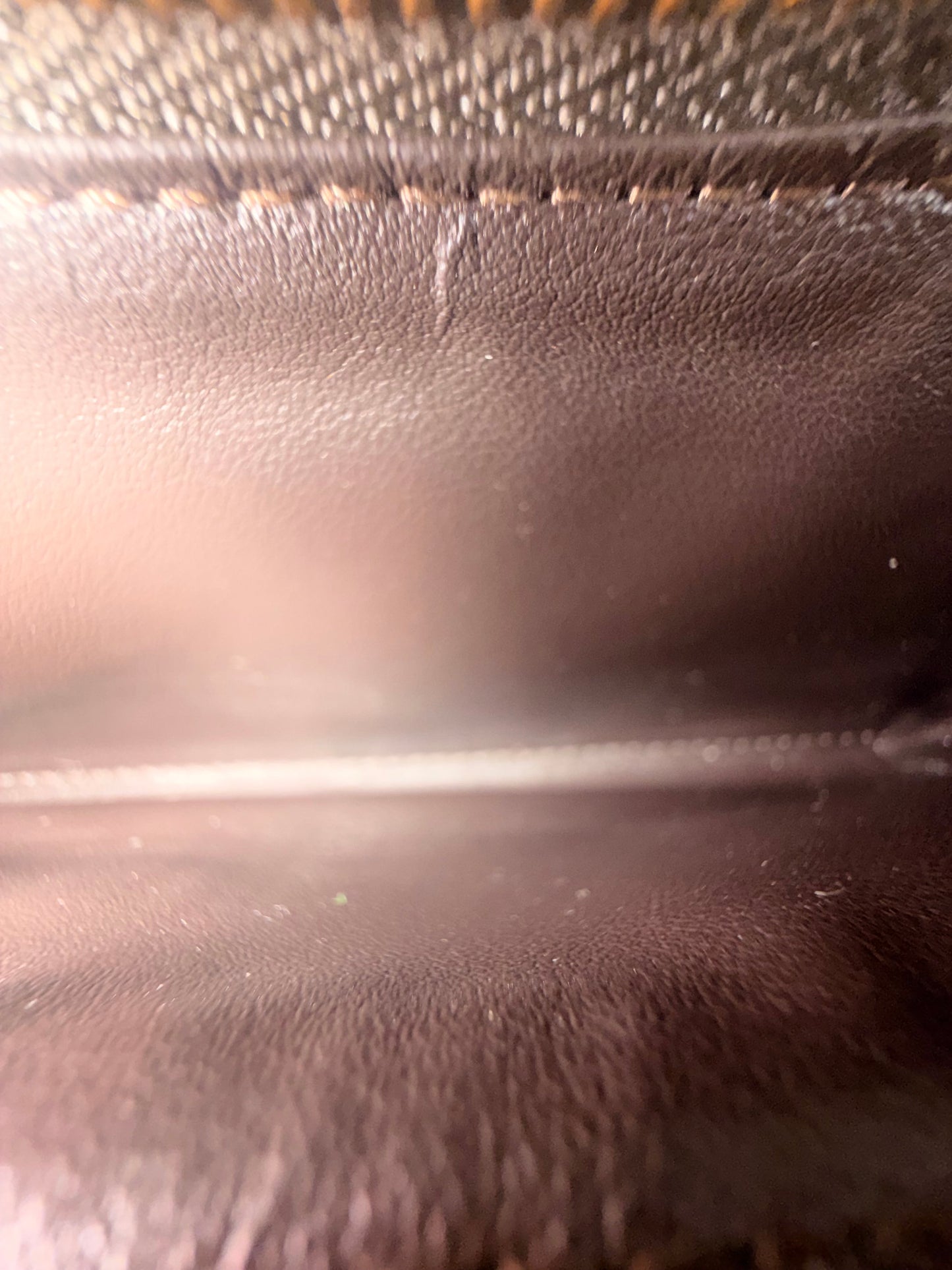 Wallet Luxury Designer By Louis Vuitton, Size: Medium