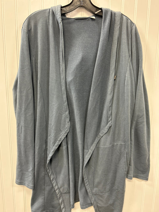 Sweatshirt Hoodie By Clothes Mentor In Blue, Size:L