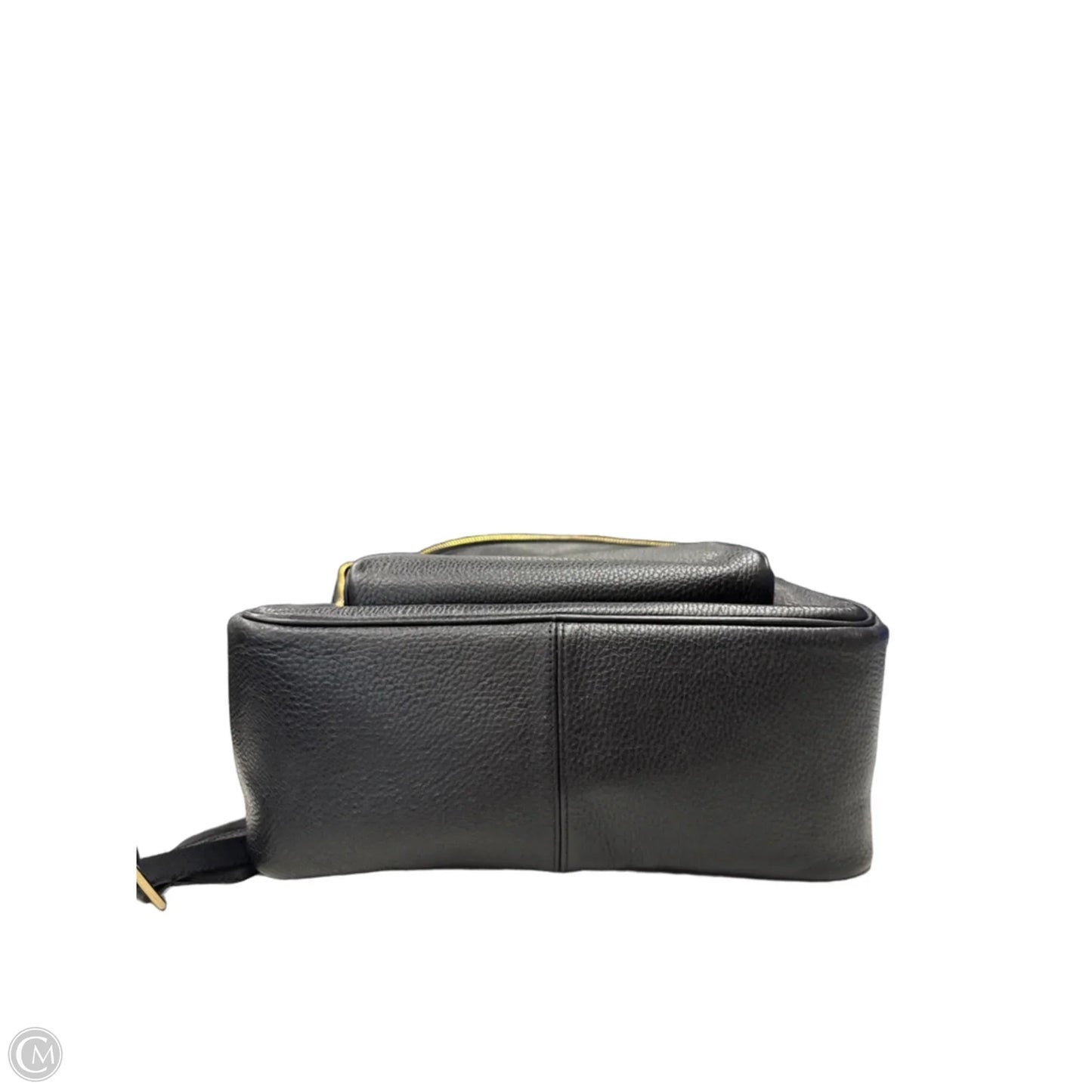 Backpack Designer By Coach, Size: Large