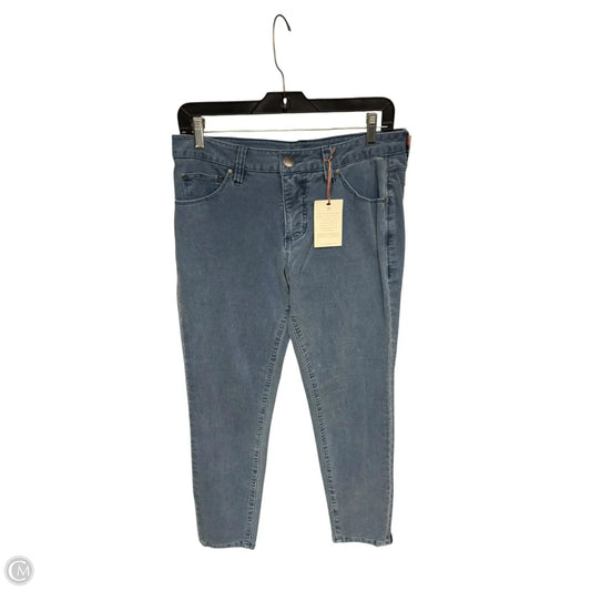 Jeans Skinny By Jag In Blue, Size: 6