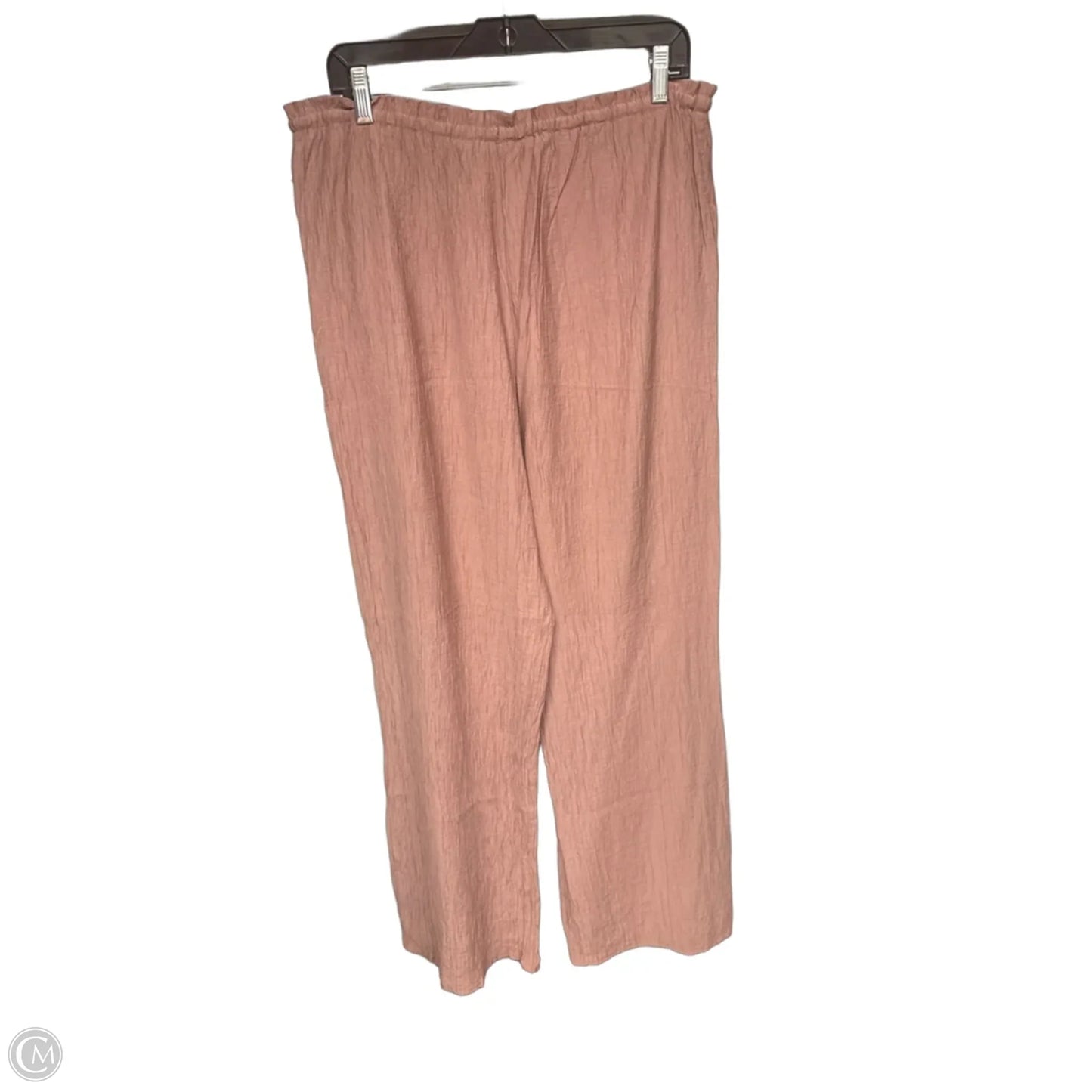 Pants Other By Zara In Pink, Size: Xl