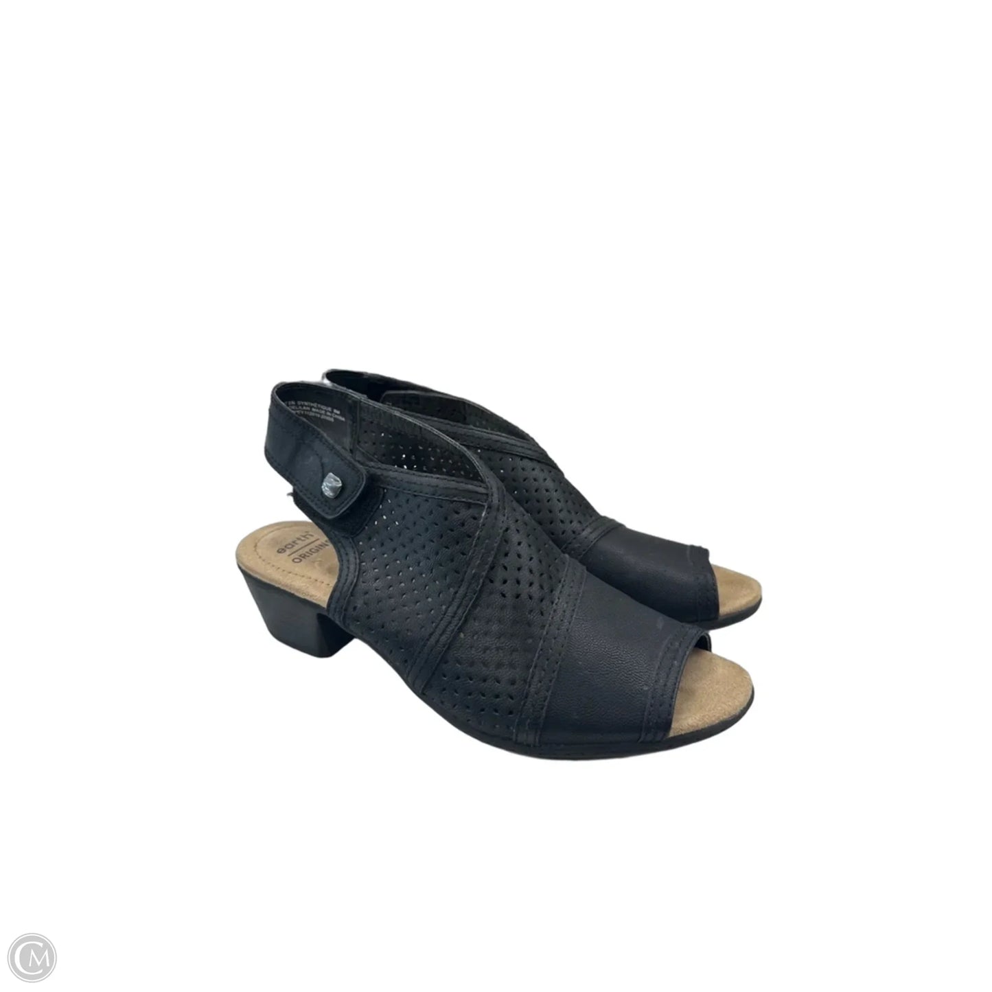 Shoes Heels Wedge By Earthbound In Black, Size: 8