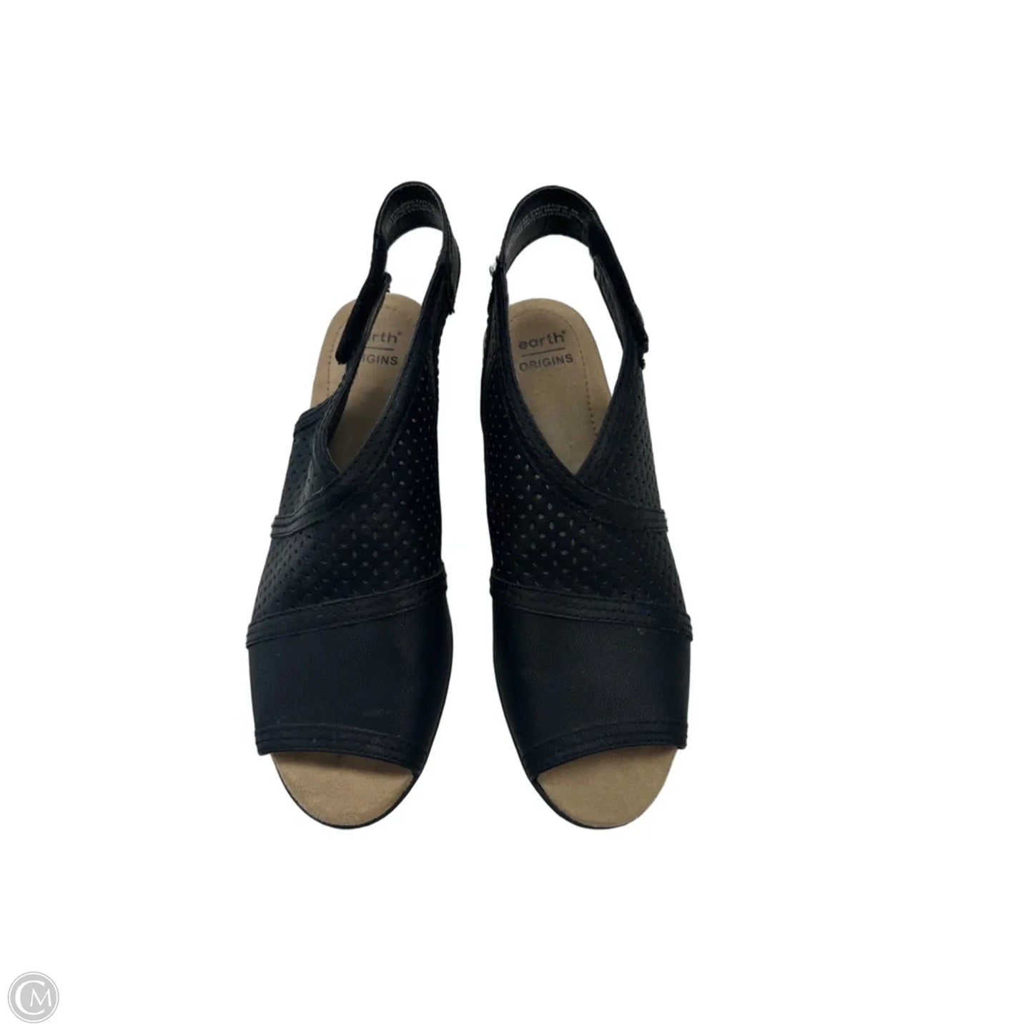 Shoes Heels Wedge By Earthbound In Black, Size: 8