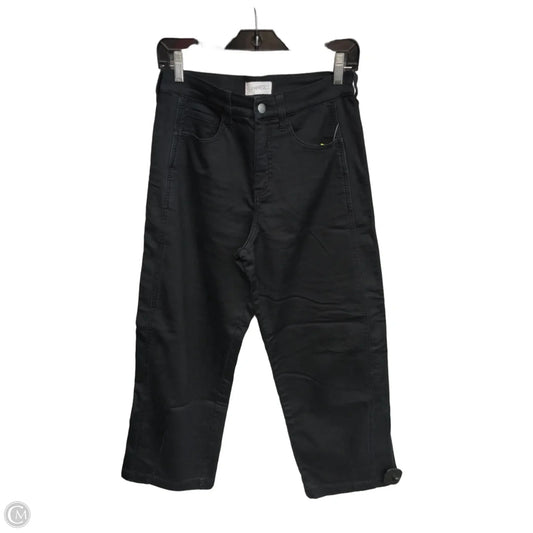 Pants Other By Evereve In Black, Size: 2