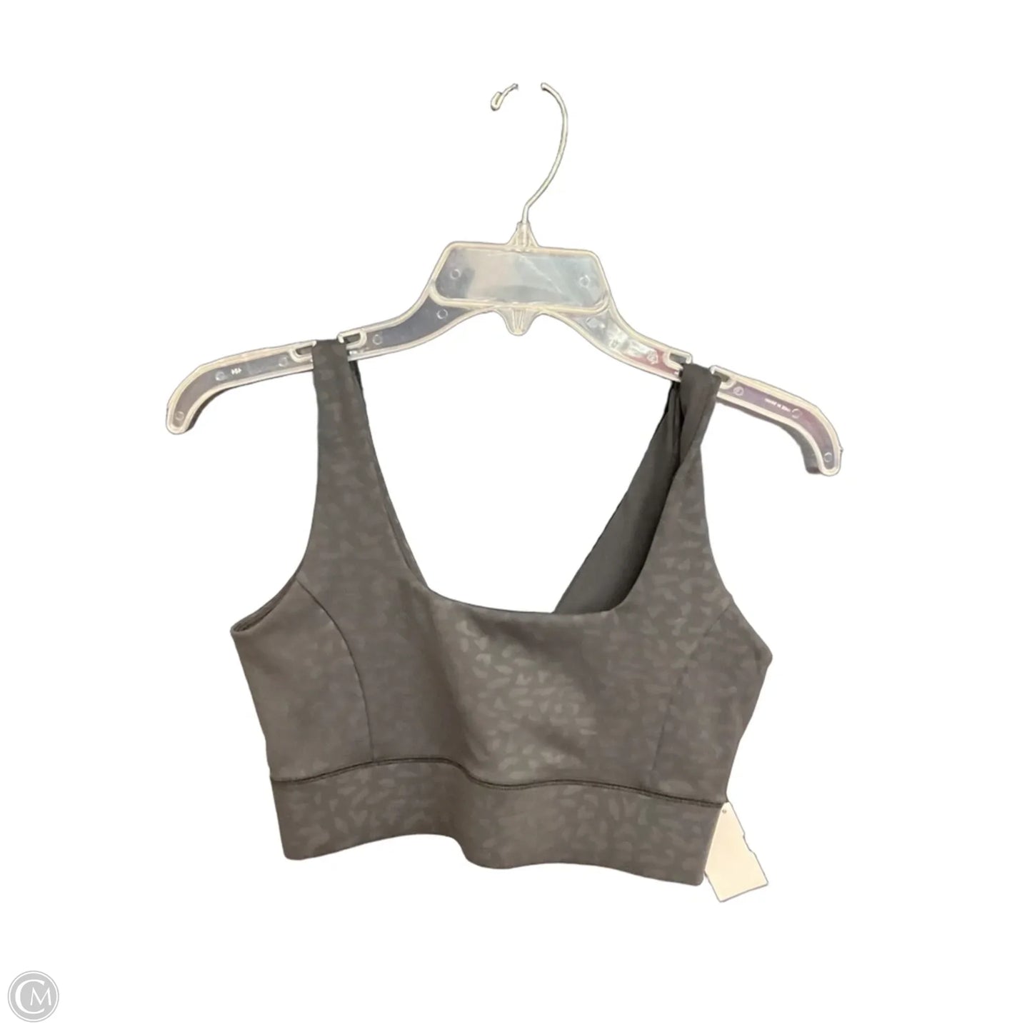 Athletic Pants 2pc By Ivl Collective In Grey, Size: M