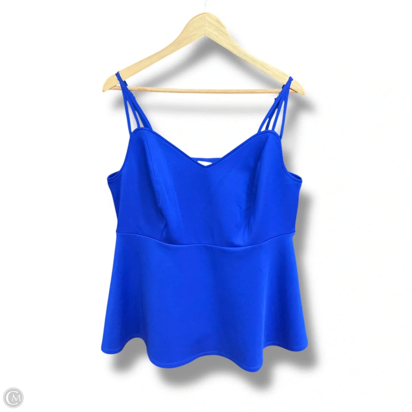 Top Sleeveless By Torrid In Blue, Size: 2x