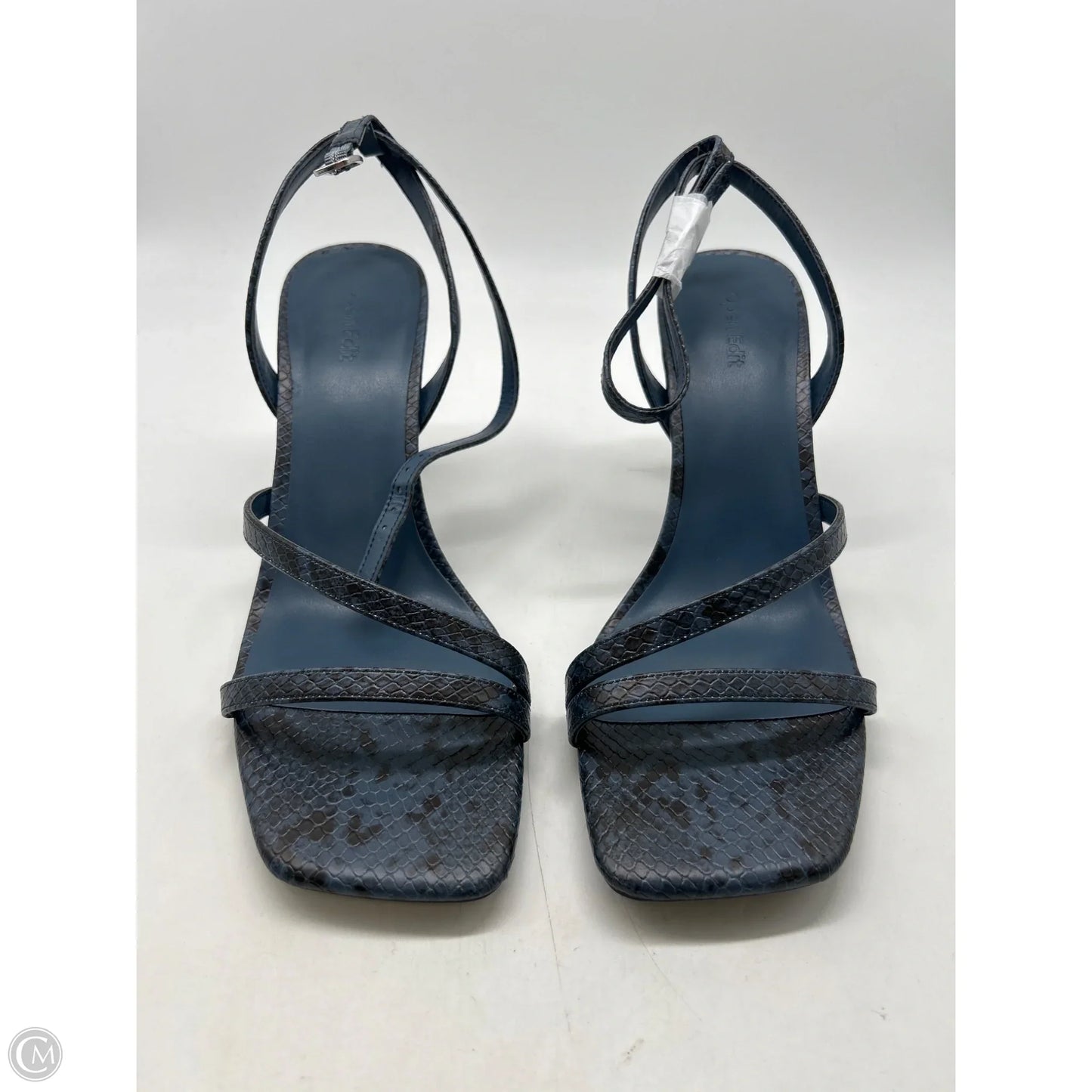 Shoes Heels Kitten By Open Edit In Animal Print, Size: 11