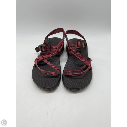 Shoes Hiking By Chacos In Brown, Size: 9