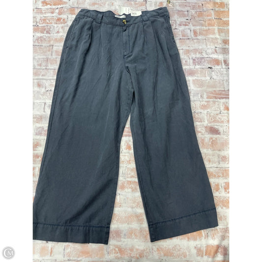 Pants Cargo & Utility By Sonoma In Blue, Size: 1x