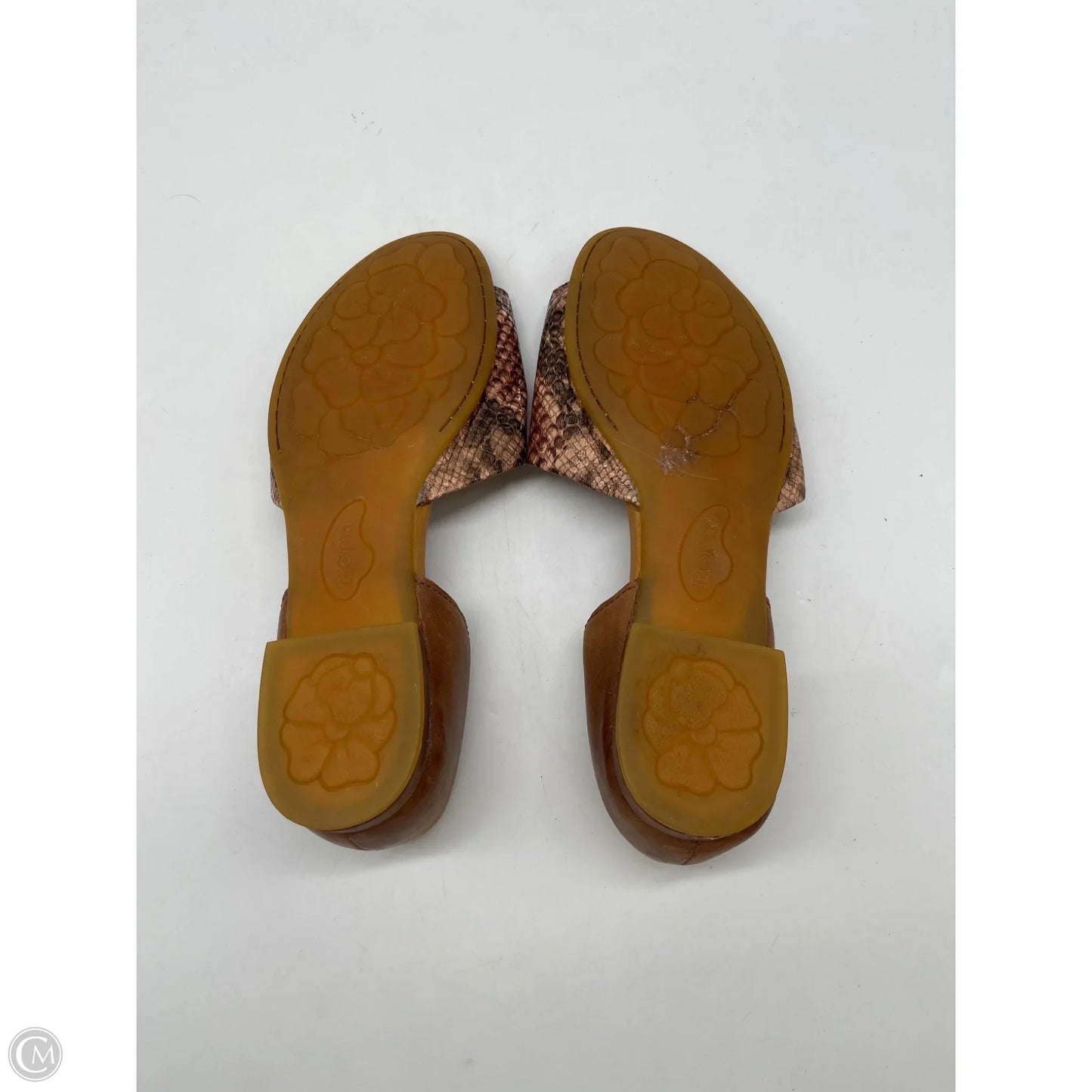 Sandals Flats By Born In Snakeskin Print, Size: 9