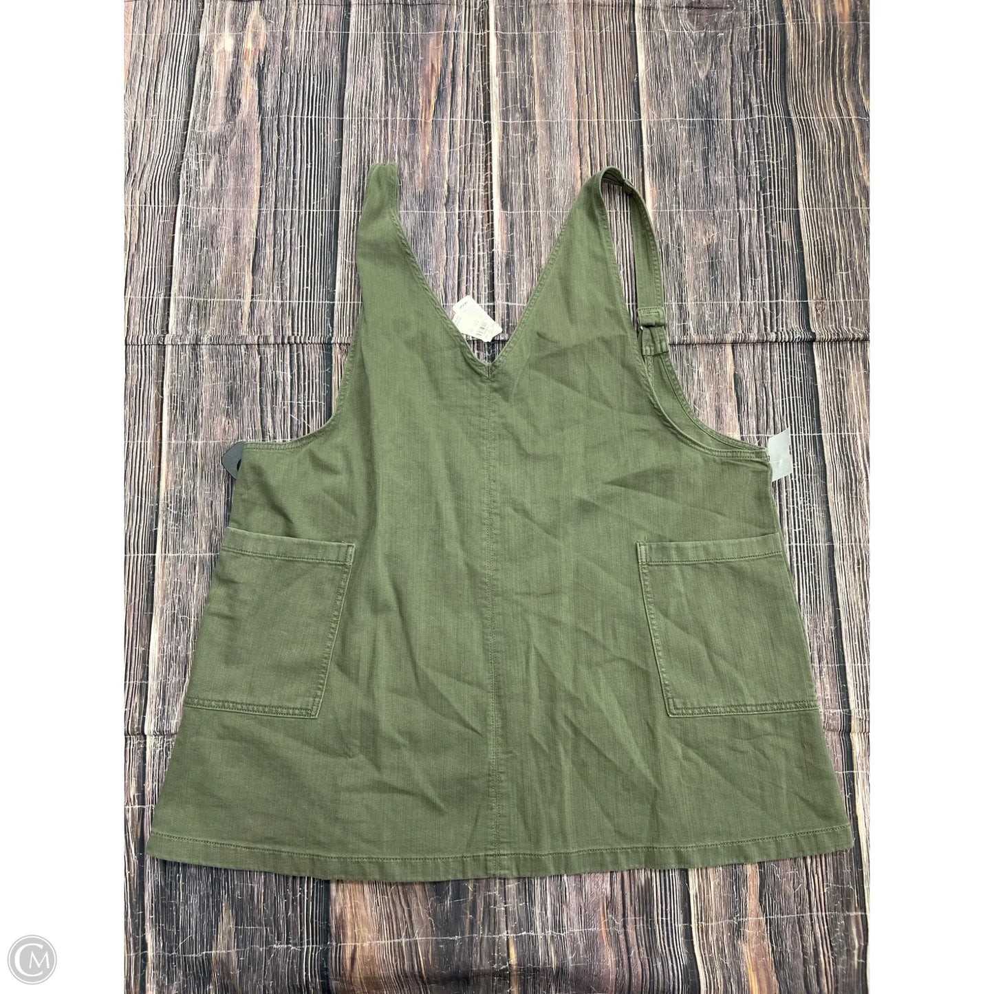 Dress Casual Short By Aerie In Green, Size: 1x