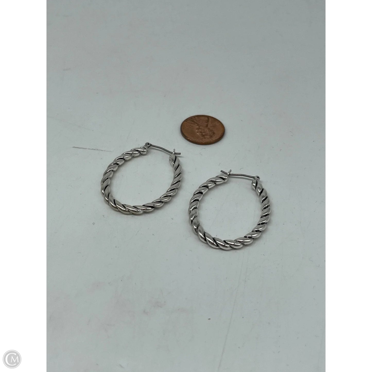 Earrings Hoop By Clothes Mentor