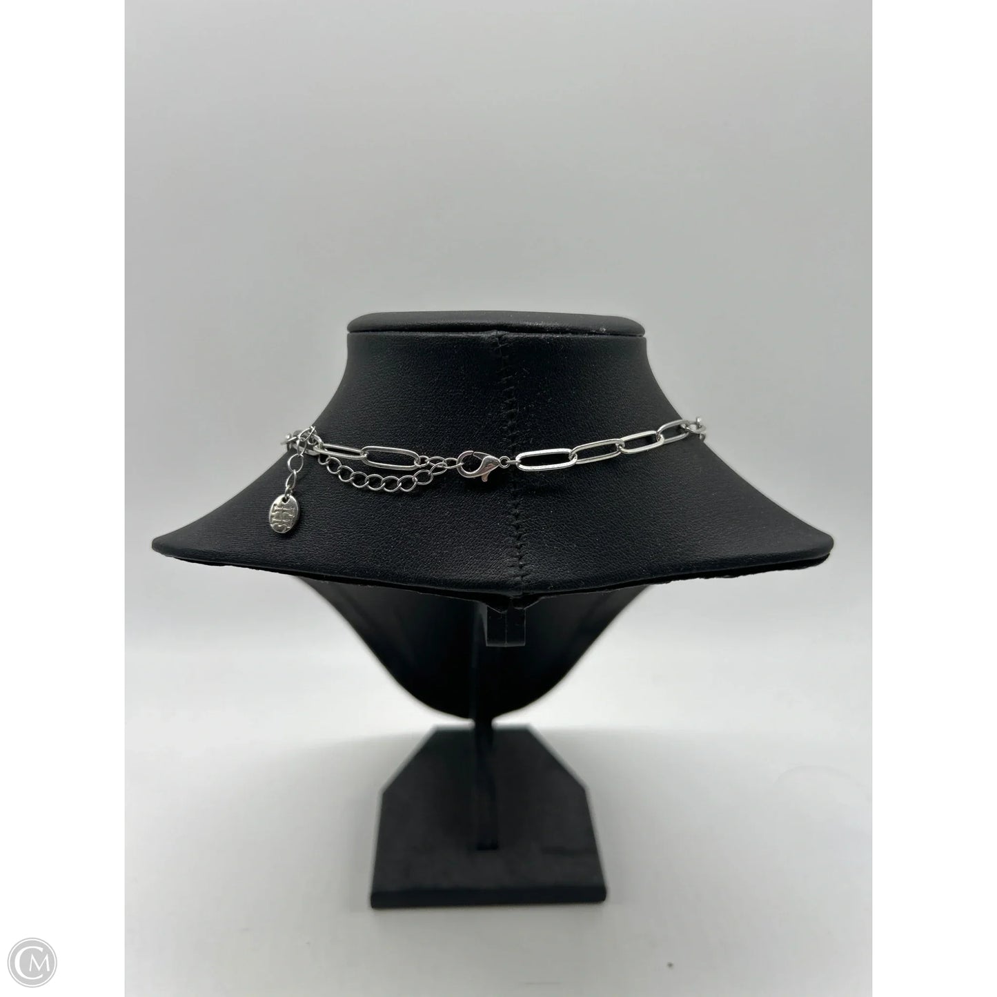 Necklace Chain By Clothes Mentor