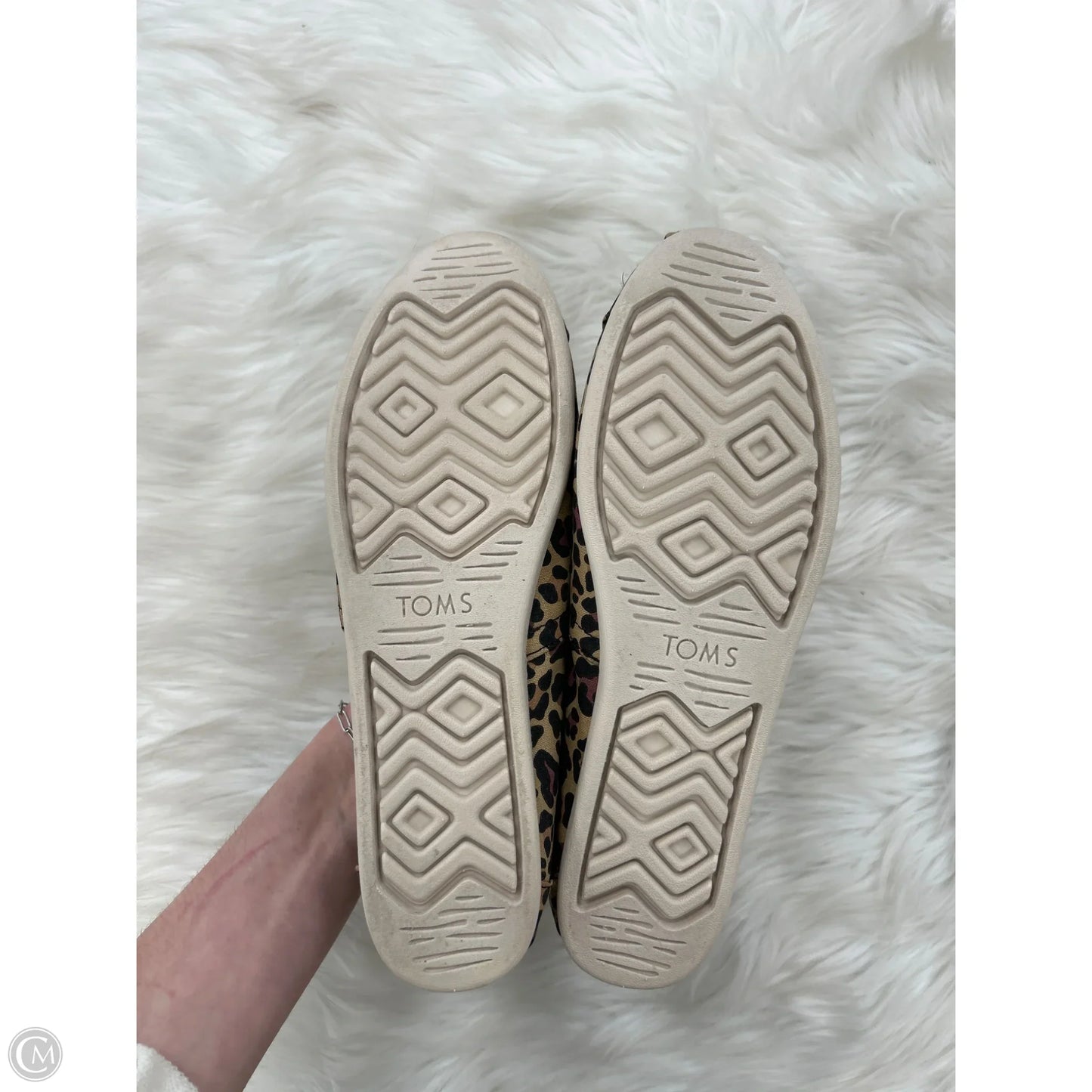 Shoes Flats By Toms In Animal Print, Size: 9.5
