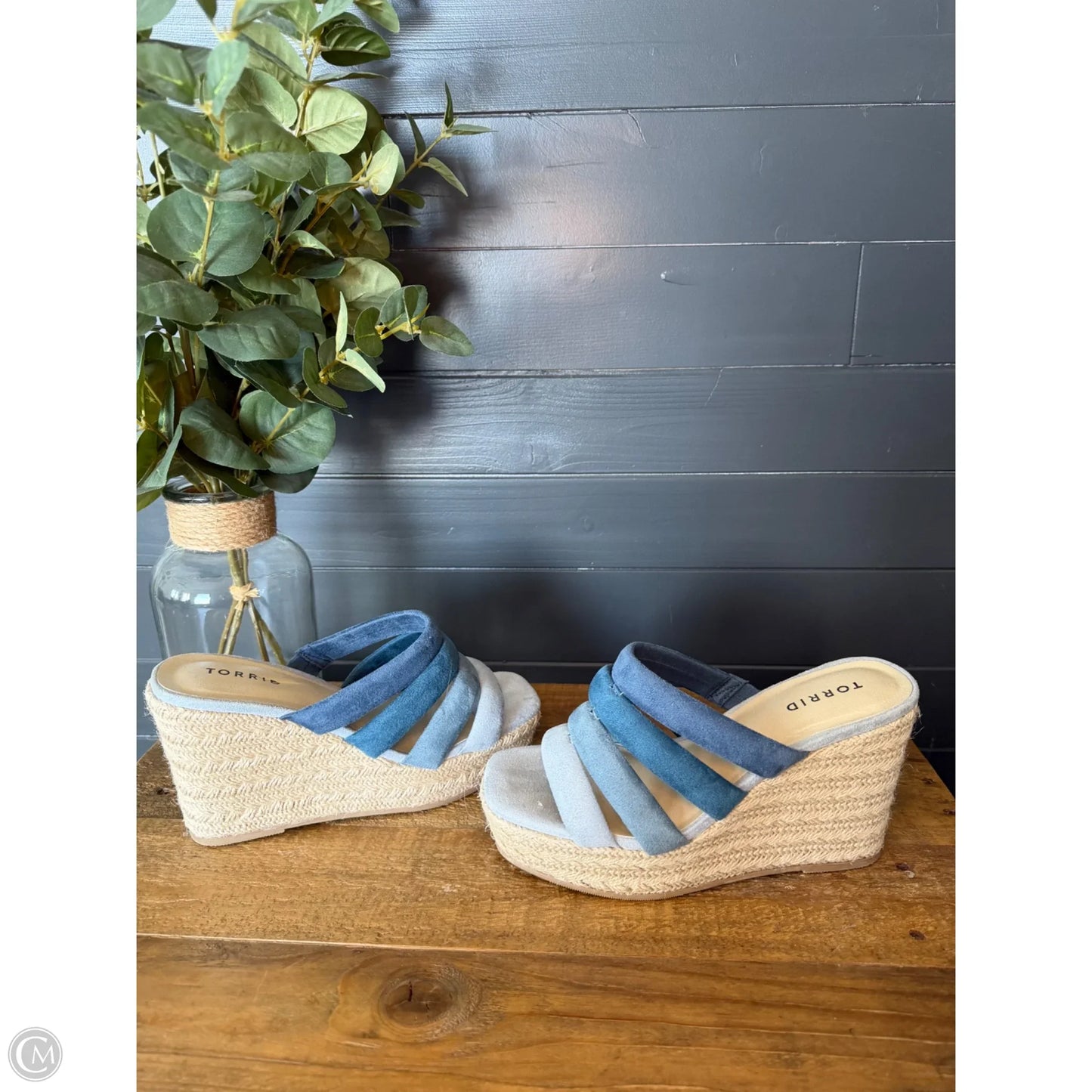 Sandals Heels Wedge By Torrid In Blue, Size: 8