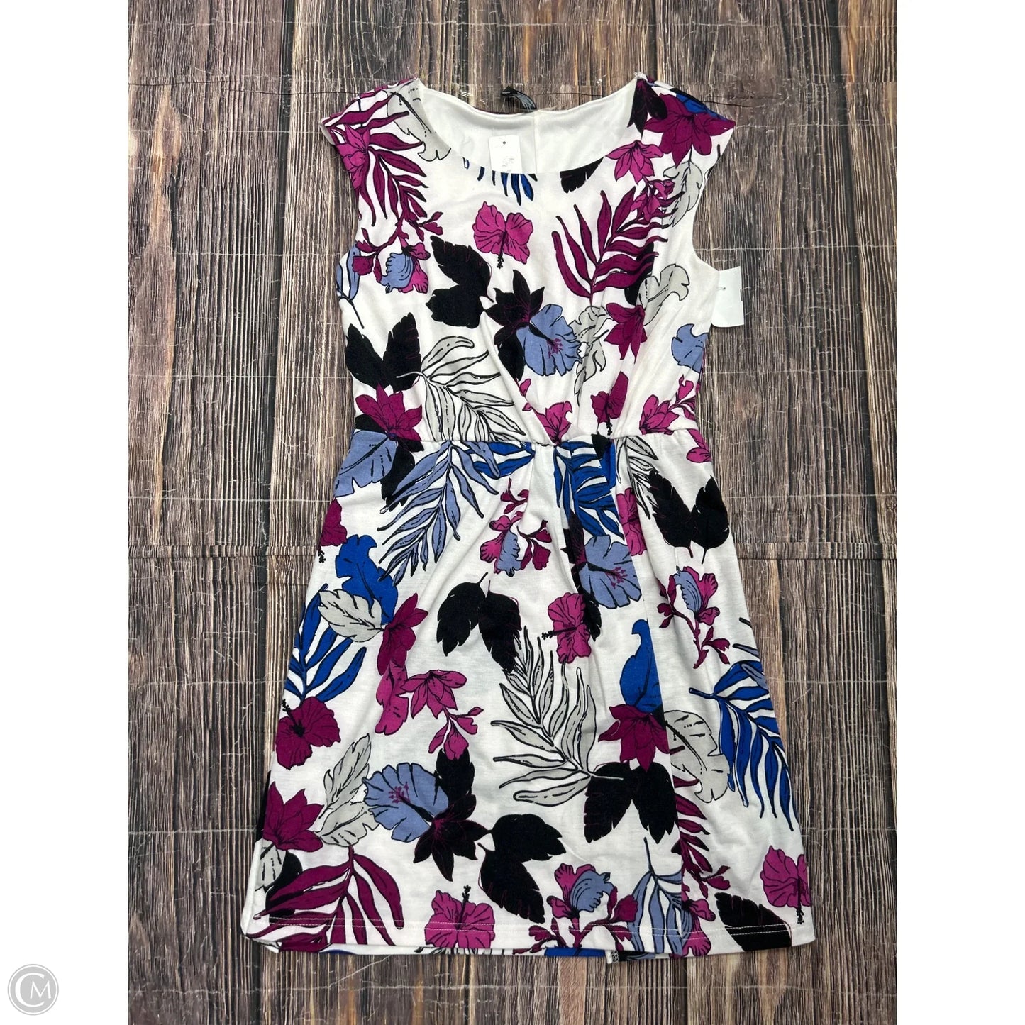 Dress Casual Short By Massini In White, Size: M