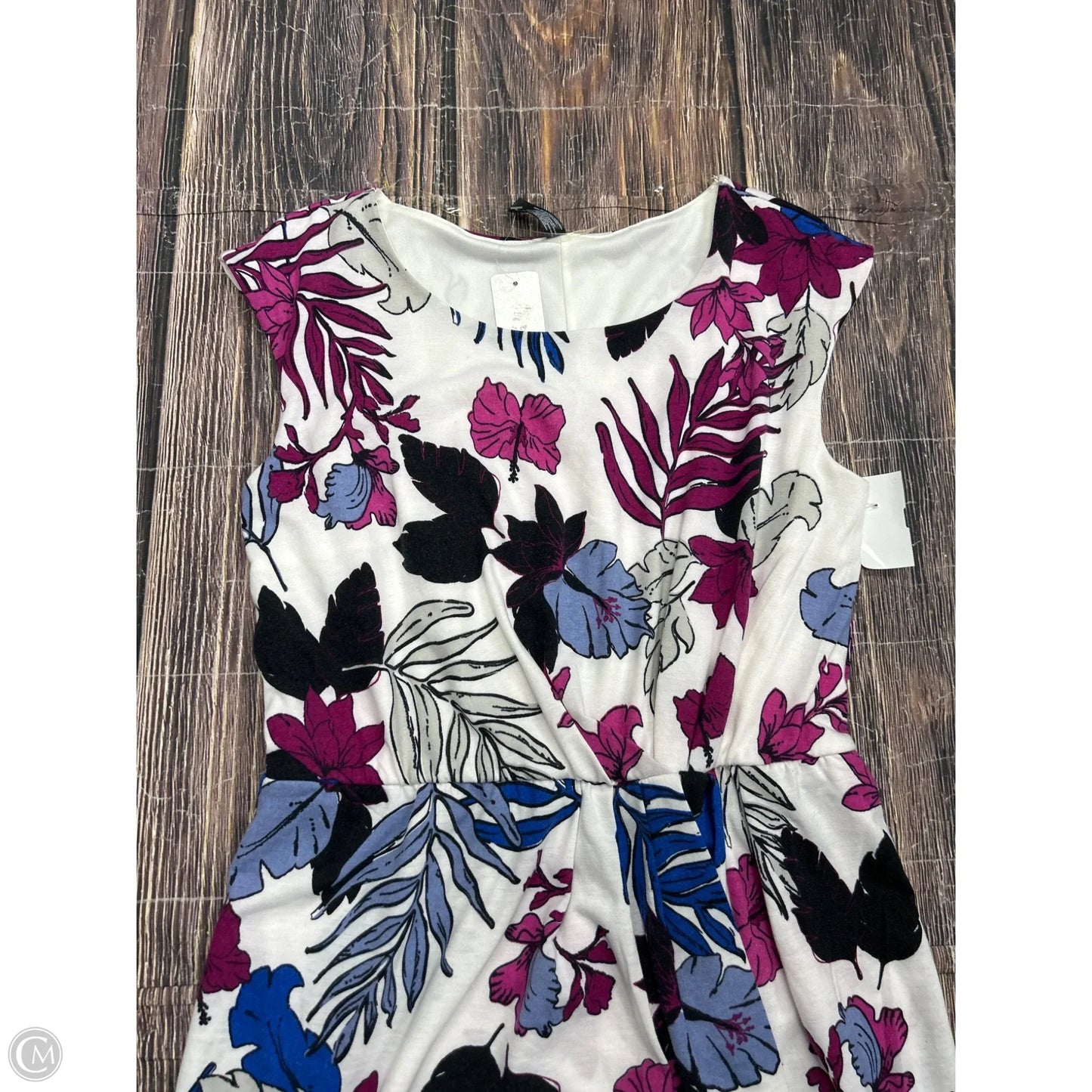 Dress Casual Short By Massini In White, Size: M