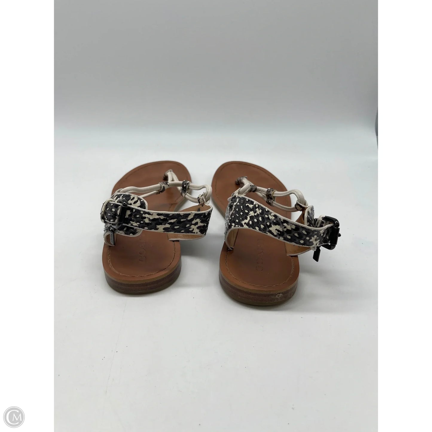 Sandals Designer By Coach In Snakeskin Print, Size: 7
