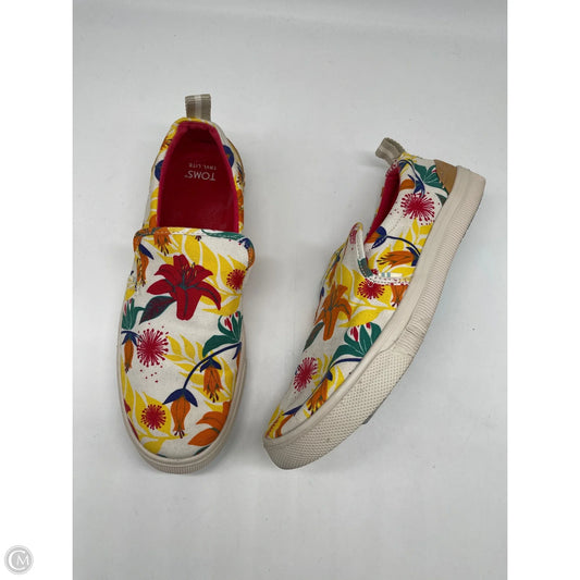 Shoes Sneakers By Toms In Multi-colored, Size: 8.5