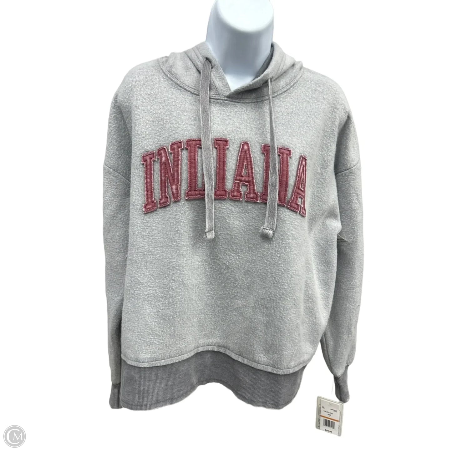 Sweatshirt Hoodie By Pressbox In Grey, Size: L