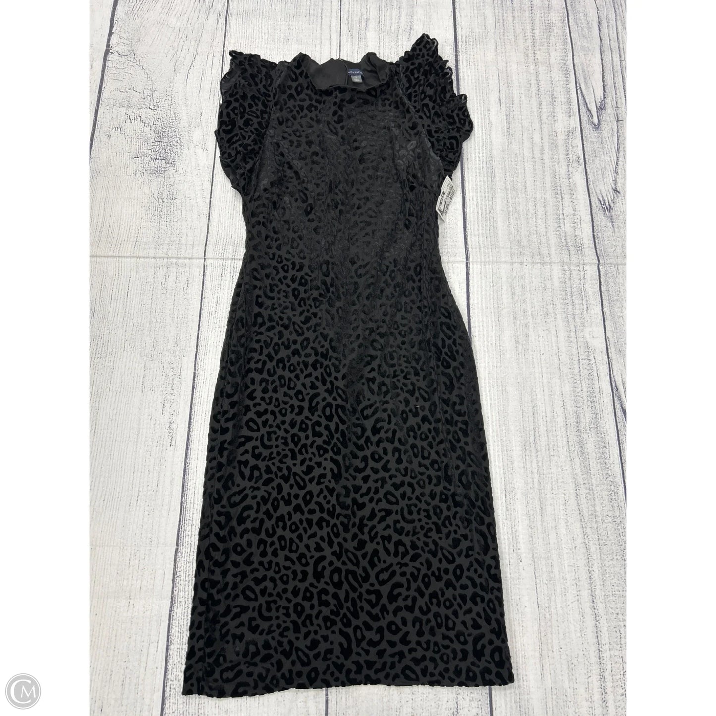 Dress Casual Short By Tommy Hilfiger In Black, Size: 2