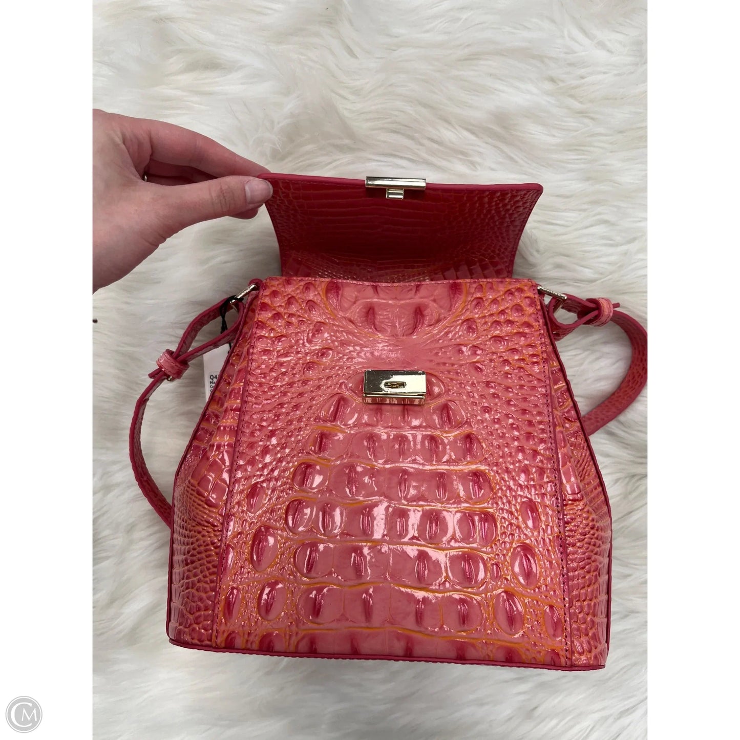 Backpack Designer By Brahmin, Size: Small