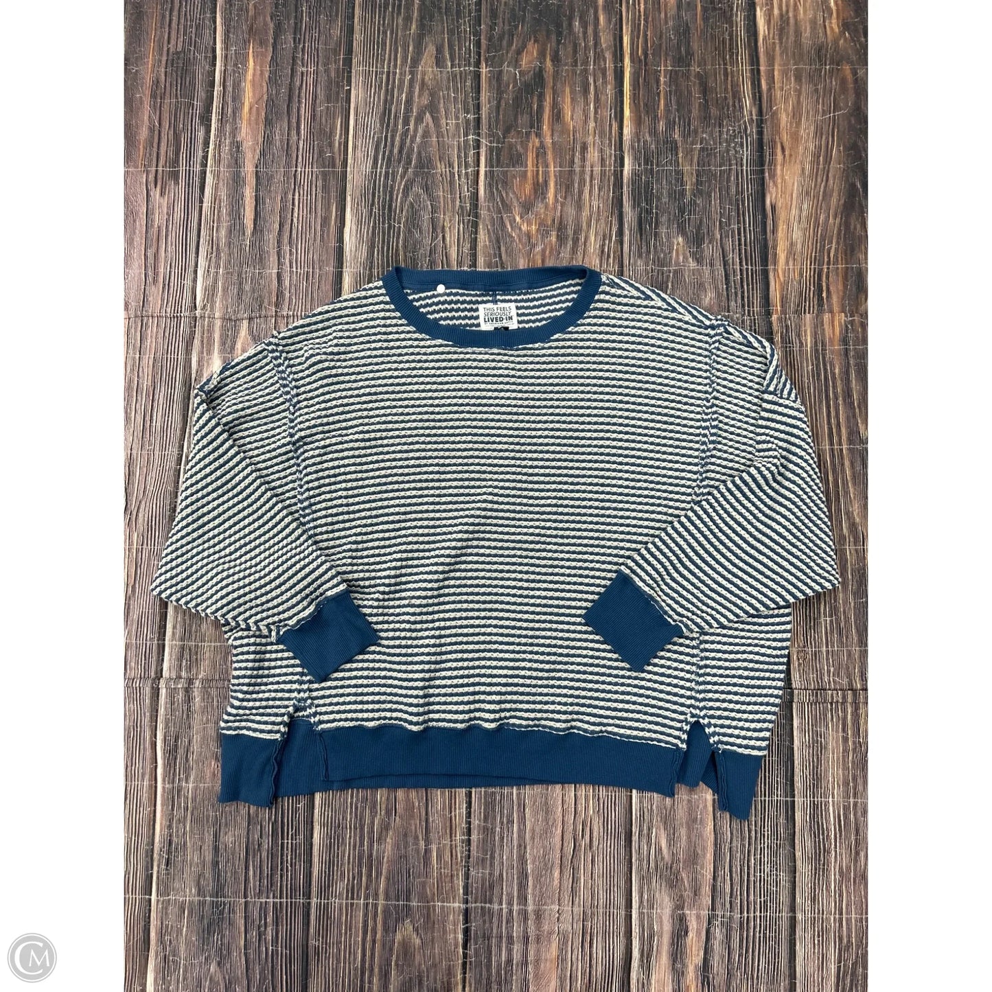 Sweatshirt Crewneck By American Eagle In Blue, Size: 1x
