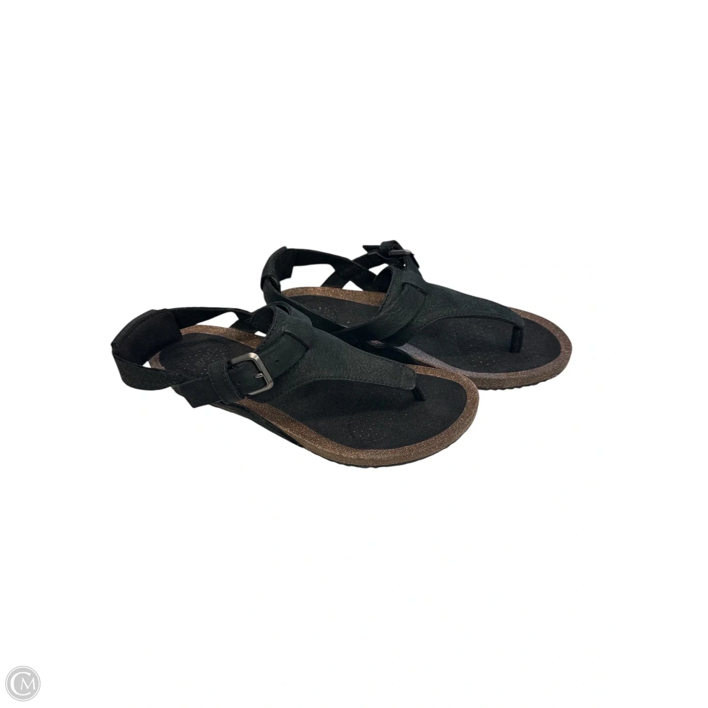 Sandals Flats By Teva In Black, Size: 7