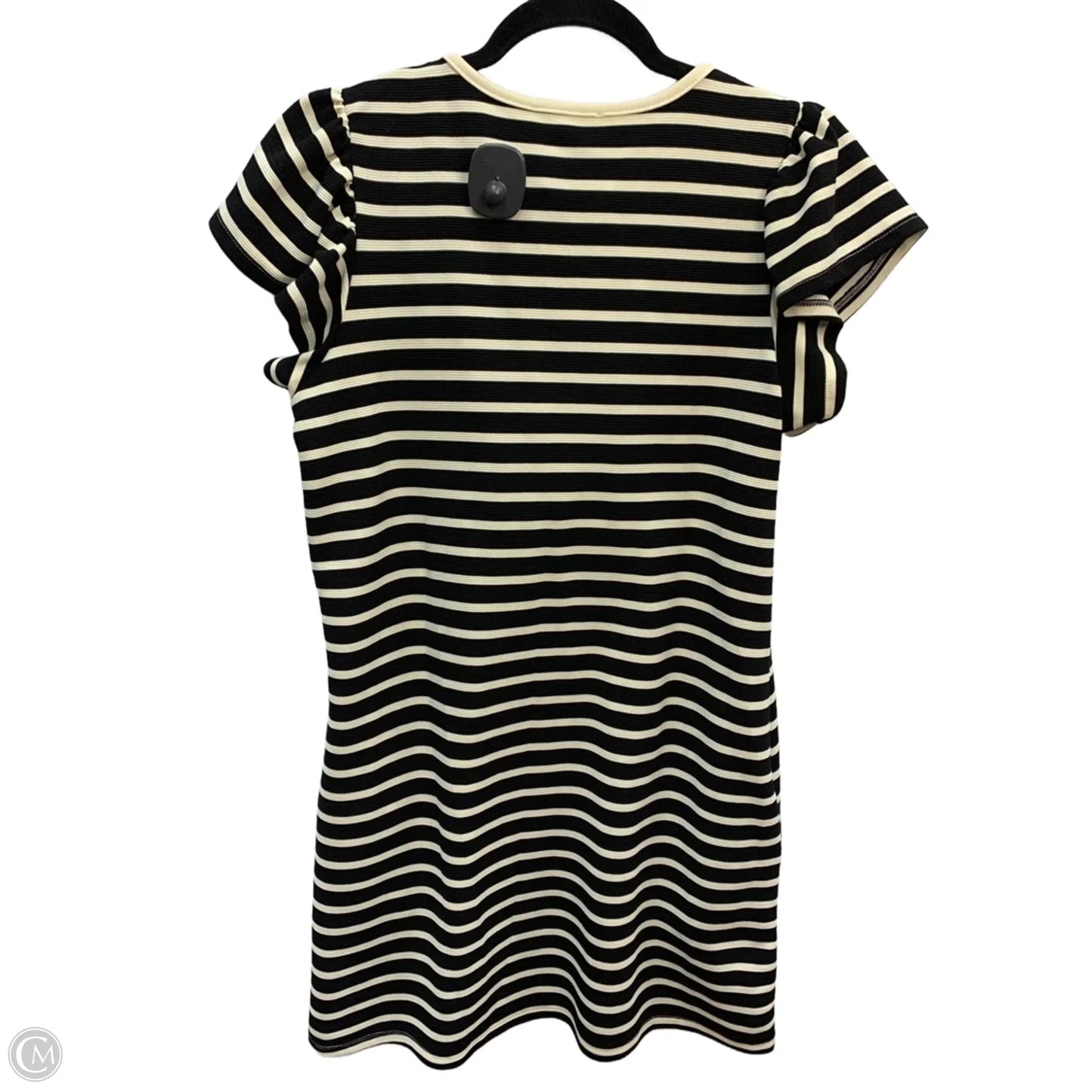 Dress Casual Short By Entro In Striped Pattern, Size: S
