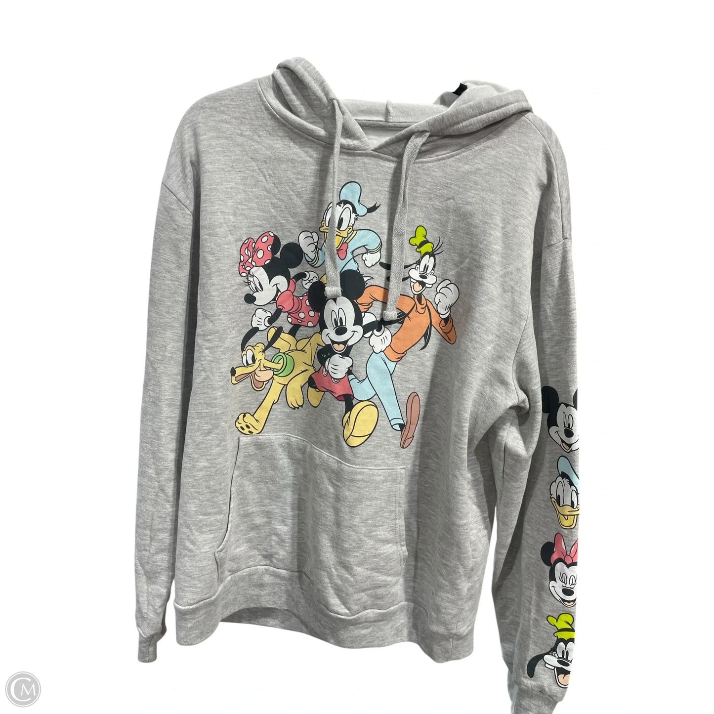 Sweatshirt Hoodie By Disney Store In Grey, Size: Xl