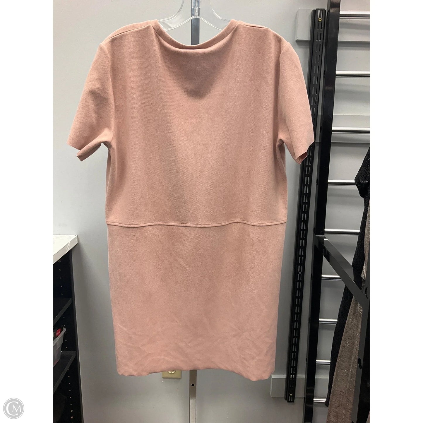 Dress Casual Short By Zara In Pink, Size: L