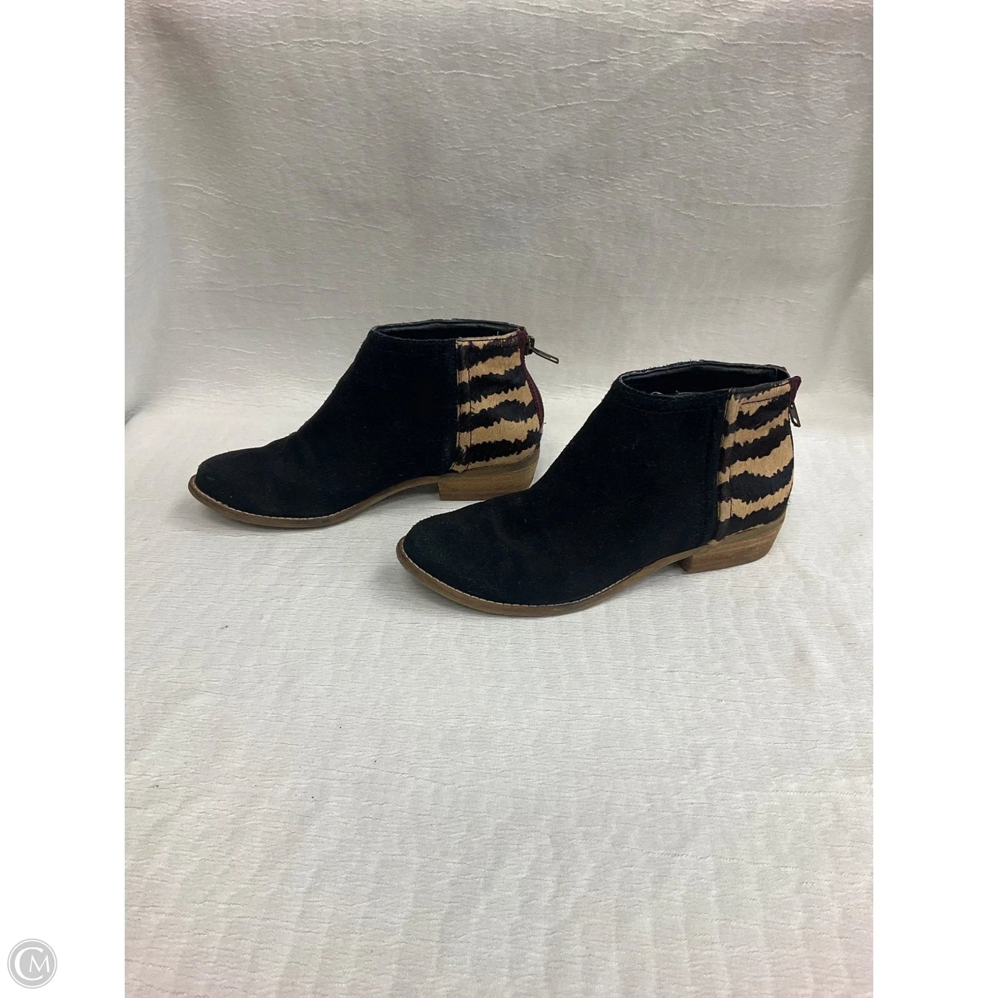 Boots Ankle Heels By Dolce Vita In Black, Size: 7