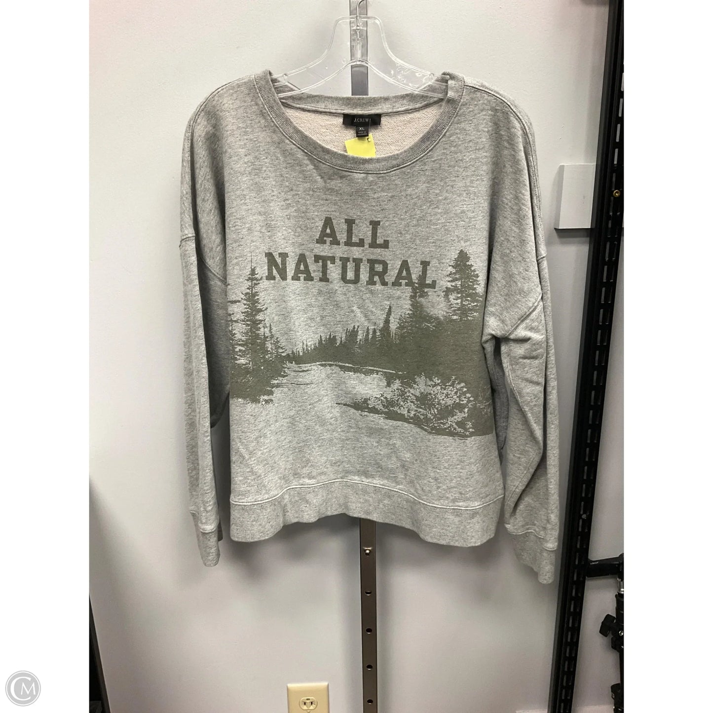 Sweatshirt Crewneck By J. Crew In Grey, Size: Xl