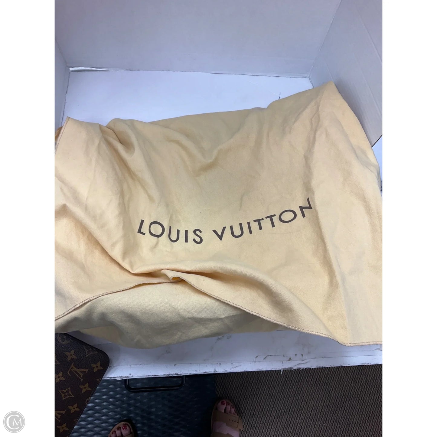 Handbag Luxury Designer By Louis Vuitton, Size: Large