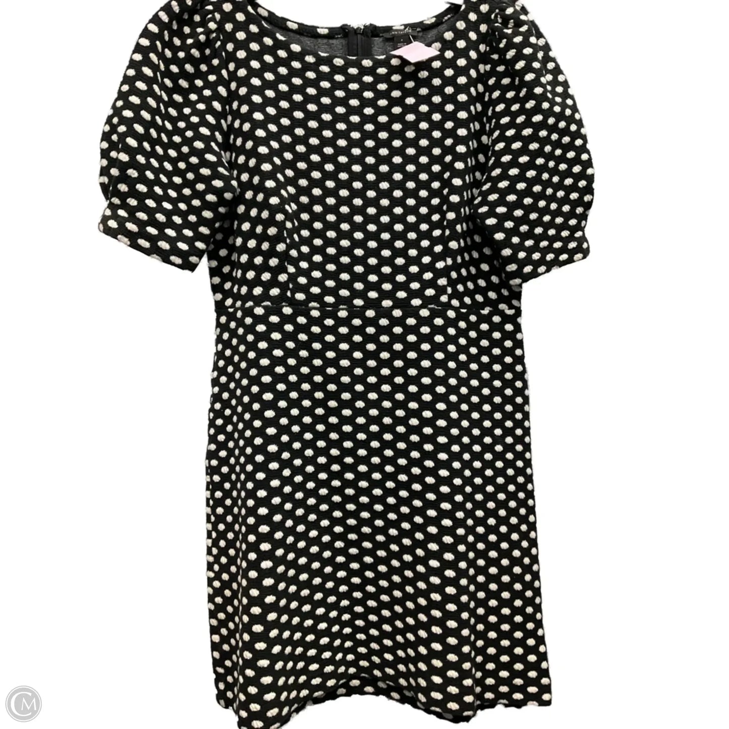 Dress Casual Short By Ann Taylor In Polkadot Pattern, Size: 4