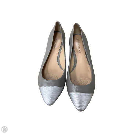 Shoes Flats By Antonio Melani In Silver, Size: 11