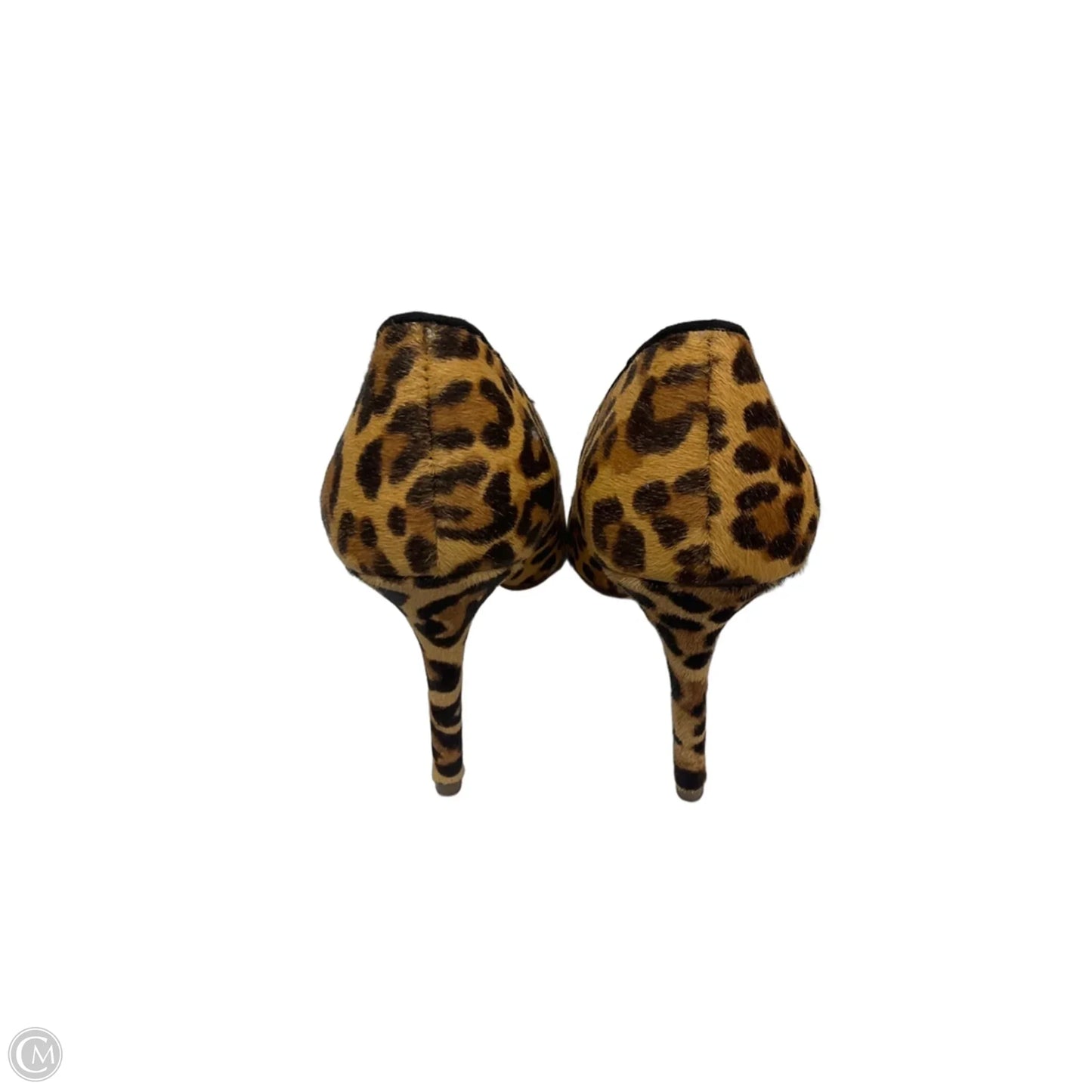Shoes Heels Stiletto By Jessica Simpson In Leopard Print, Size: 7