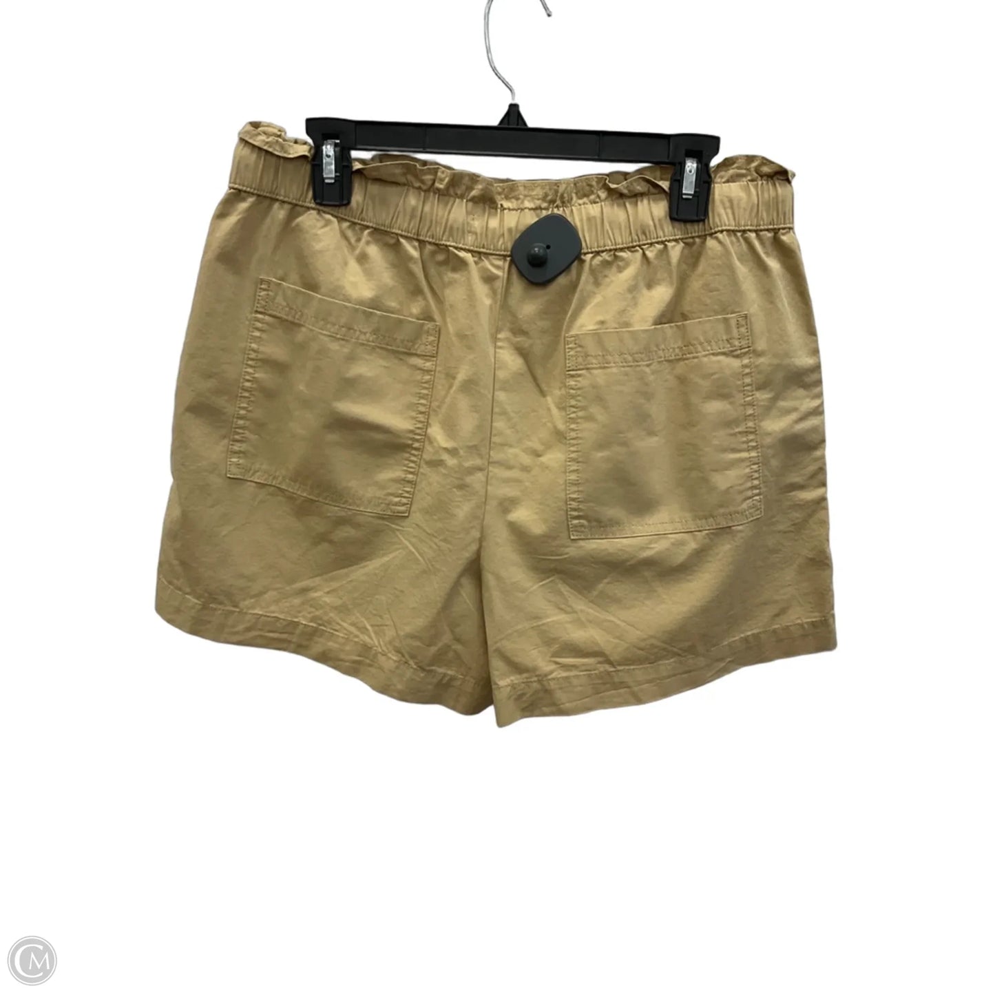 Shorts By Loft In Brown, Size: L