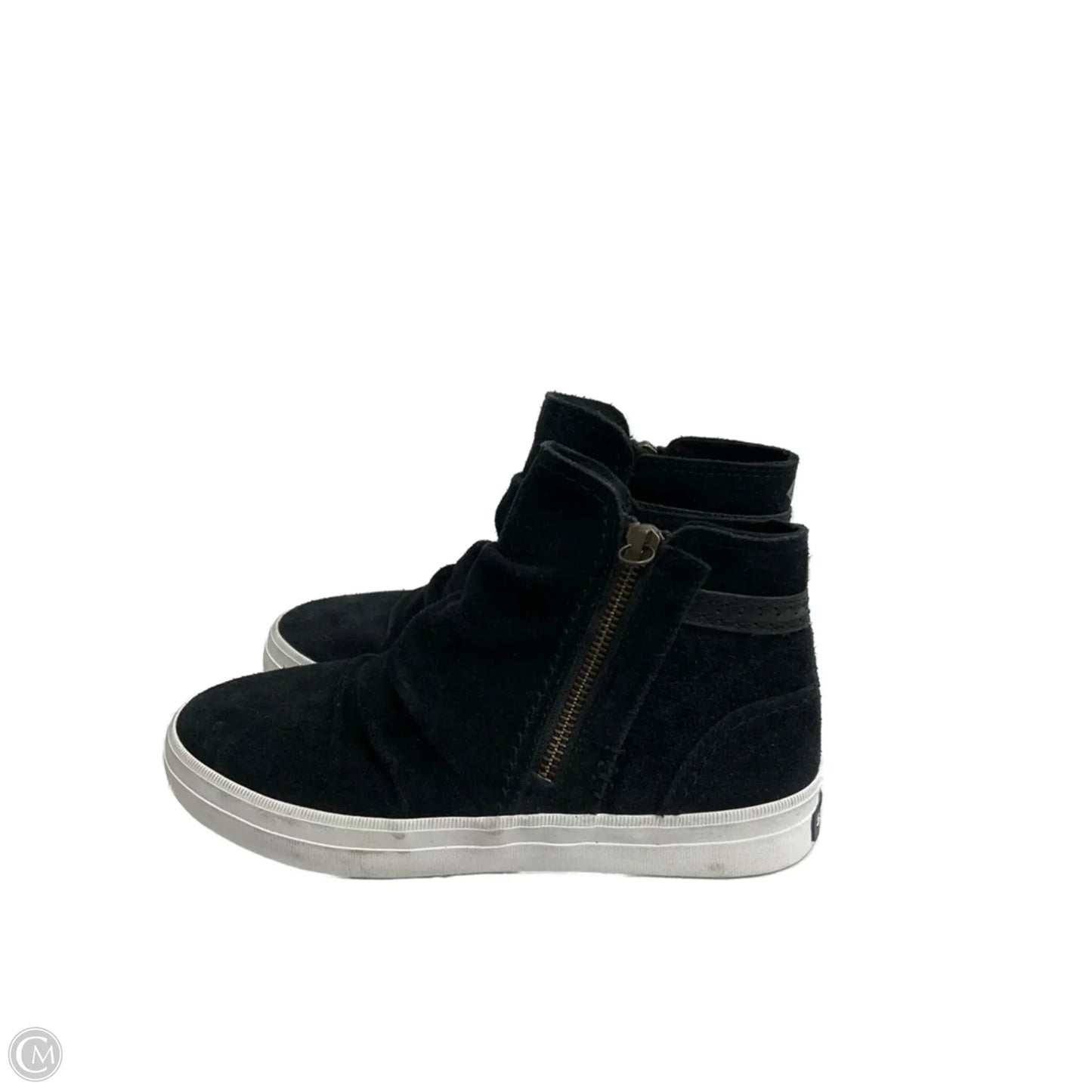 Shoes Sneakers By Sperry In Black, Size: 6