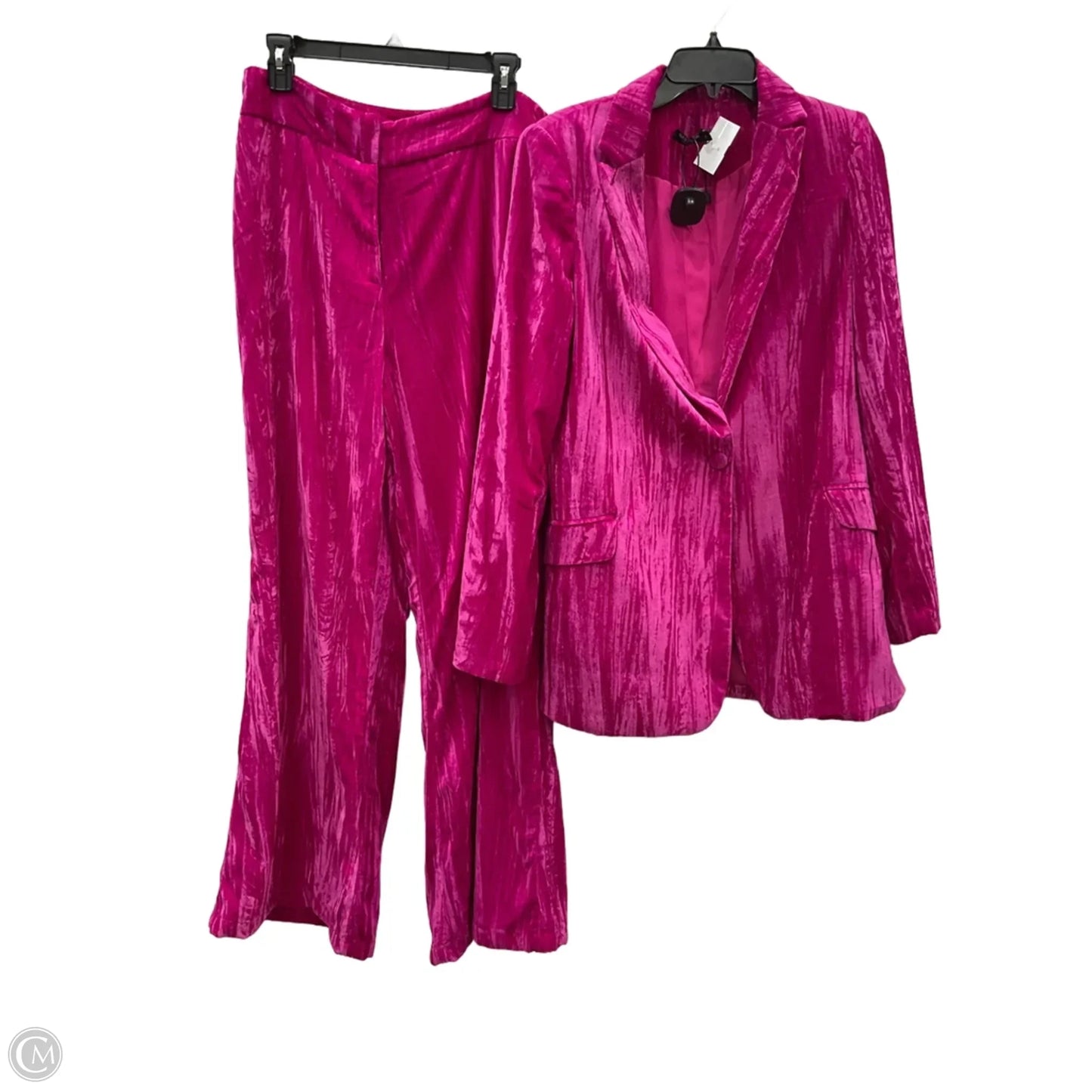 Pants Set 2pc By Nasty Gal In Pink, Size: M