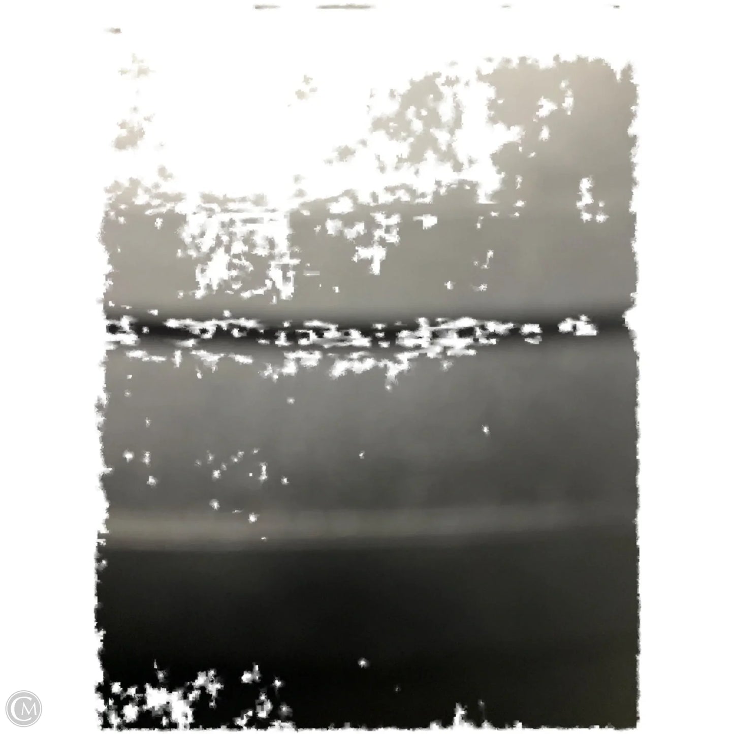 Skort By Chicos In Black & White, Size: L