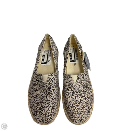 Shoes Flats By Toms In Animal Print, Size: 6.5