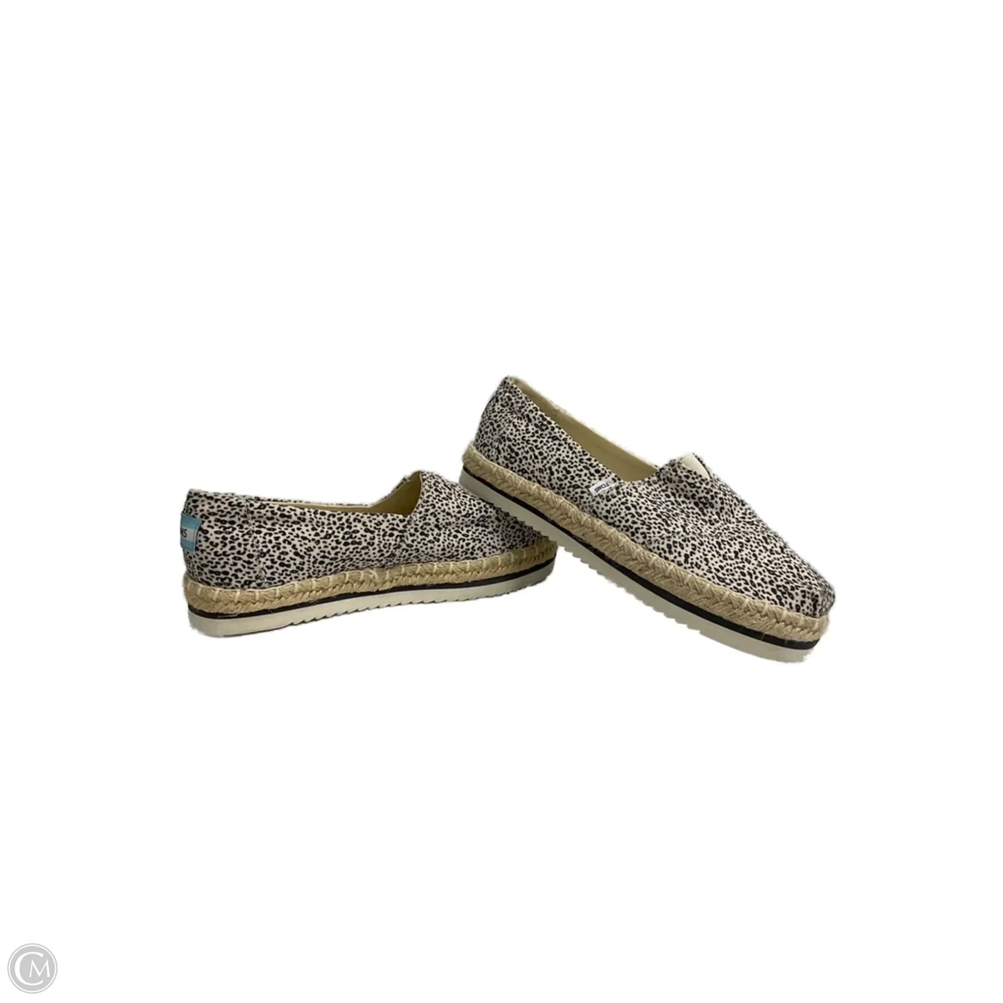 Shoes Flats By Toms In Animal Print, Size: 6.5