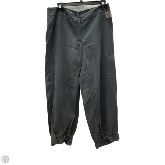 Pants Cargo & Utility By Eileen Fisher In Grey, Size: S