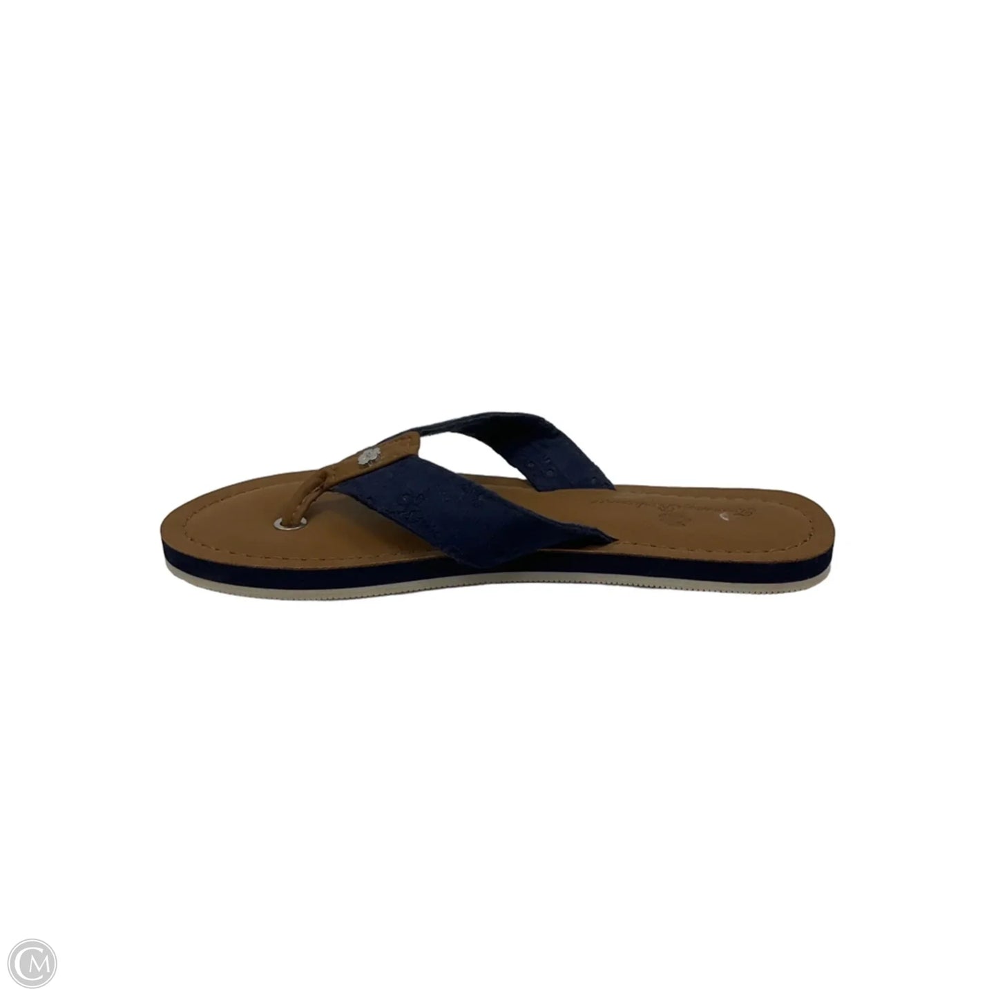 Sandals Flip Flops By Tommy Bahama In Blue & Brown, Size: 6