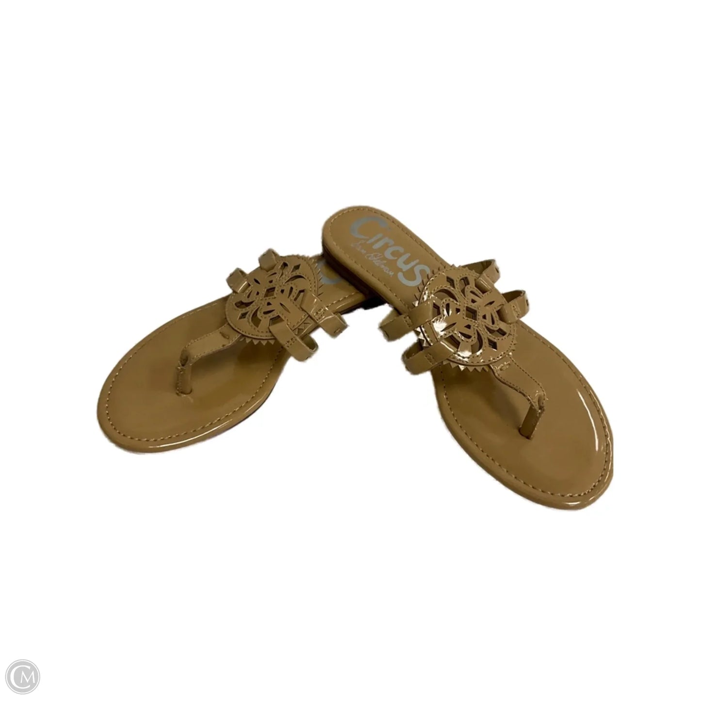 Sandals Flats By Circus By Sam Edelman In Tan, Size: 7.5