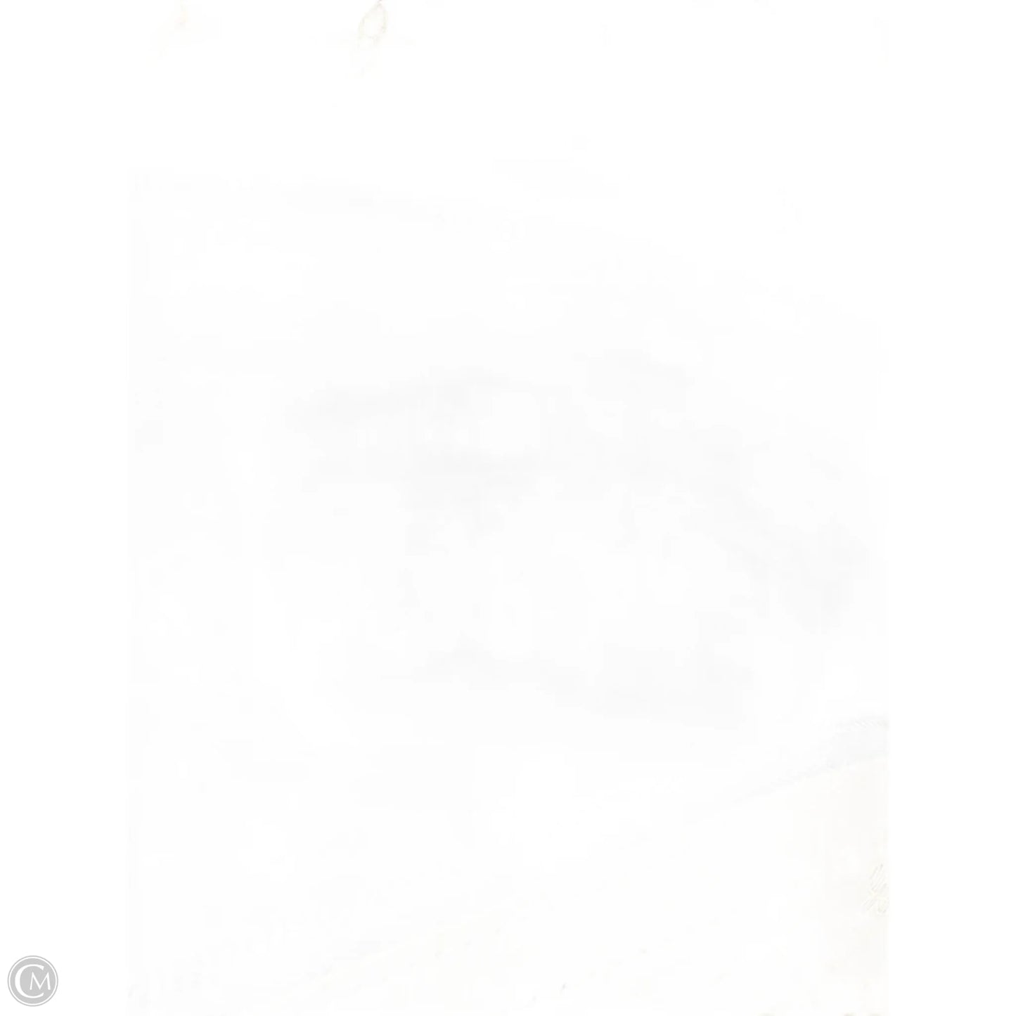 Backpack Luxury Designer By Louis Vuitton, Size: Large