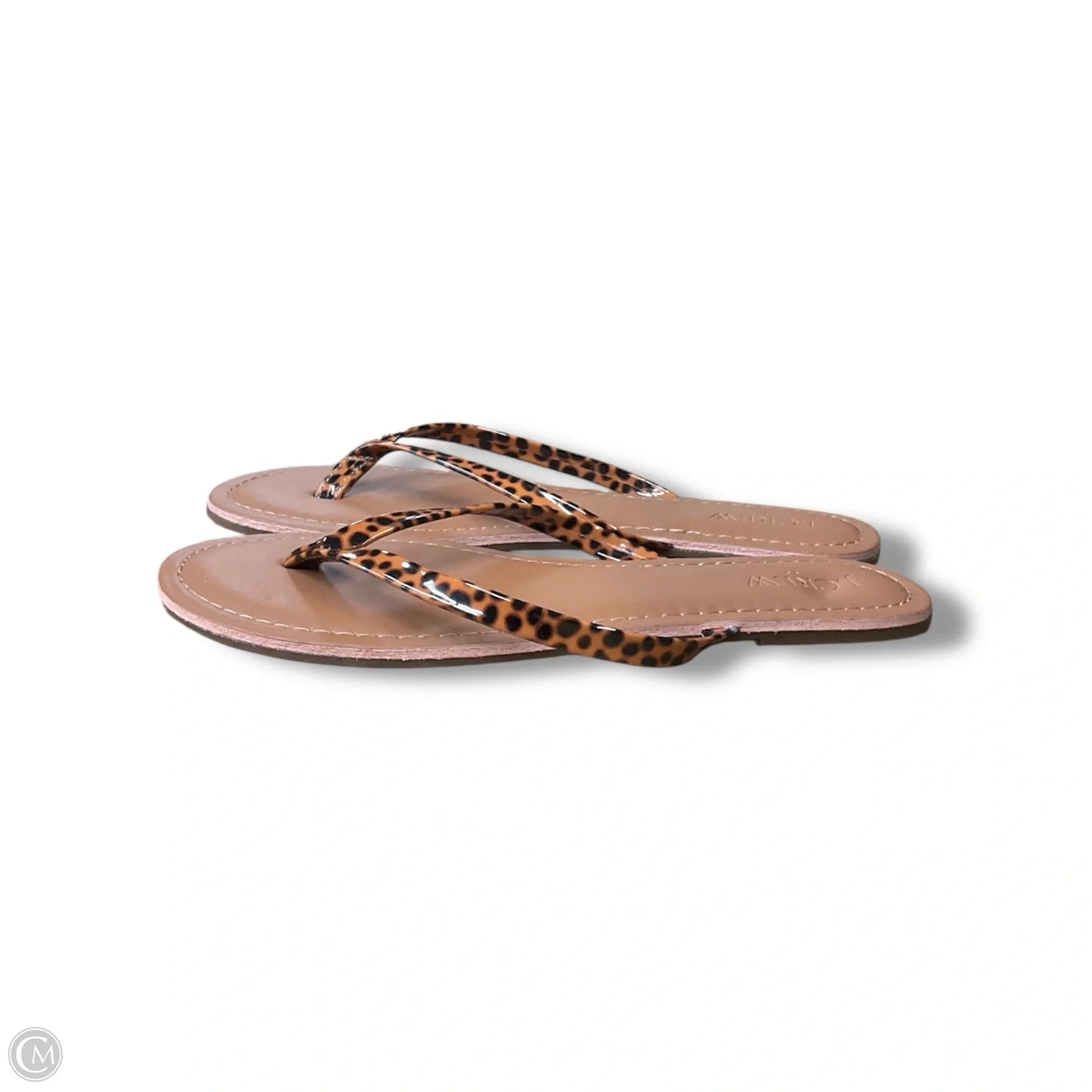 Sandals Flip Flops By J. Crew In Animal Print, Size: 7